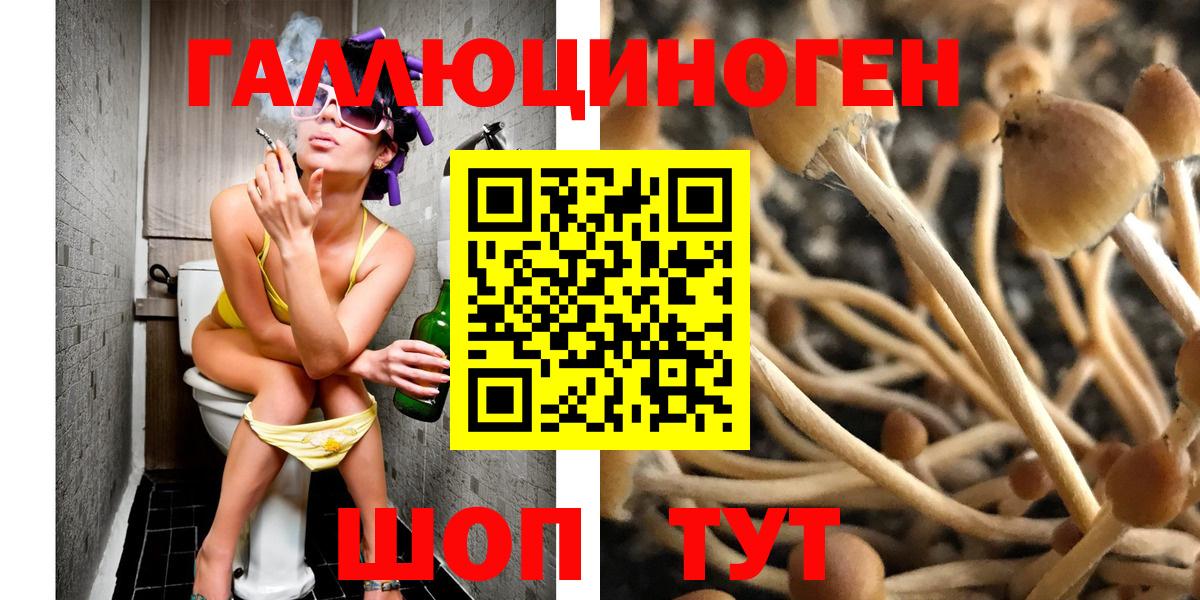 Галлюциногенные грибы Psilocybe  Вход с VPN  Галлюциногенные грибы Psilocybe  Новомосковск 